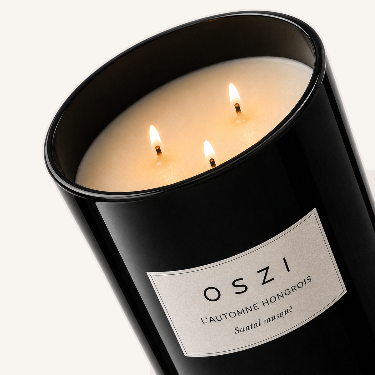Bougie d'atmosphère Automne Hongrois Santal Musk